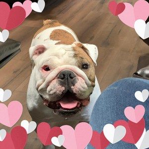 Meet your Posher, Lena